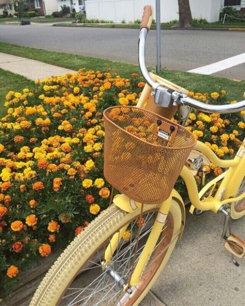 Как хорошо получаться на фото: советы и секреты. 03 Как хорошо получаться на фото: советы и секреты. 03