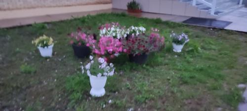 Джынтуй.  (Печорский район). 03 Джынтуй.  (Печорский район). 03