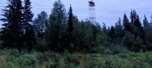 Джынтуй.  (Печорский район). 02 Джынтуй.  (Печорский район). 02