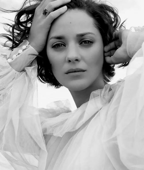 Выглядеть как звезда: правила красоты француженки Марион котийяр. 01 Выглядеть как звезда: правила красоты француженки Марион котийяр. 01