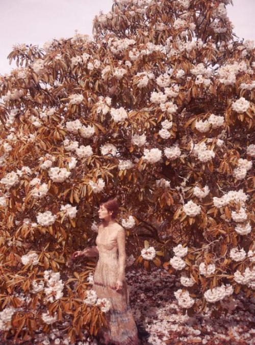 Such Stuff As Dreams Are Made On: Одри Марне в фотосессии Эрика мадигана хека для Harper's Bazaar UK October 2015. 03