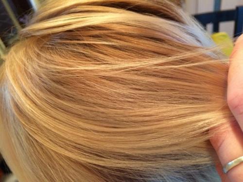 Модели для пополнения портфолио и расширения клиентской базы нужны? 01