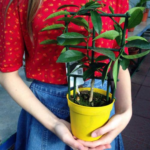 Как всегда быть красивой? 01