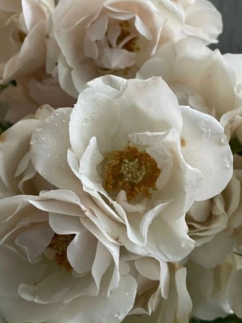 Сияние, которое нельзя повторить. 05