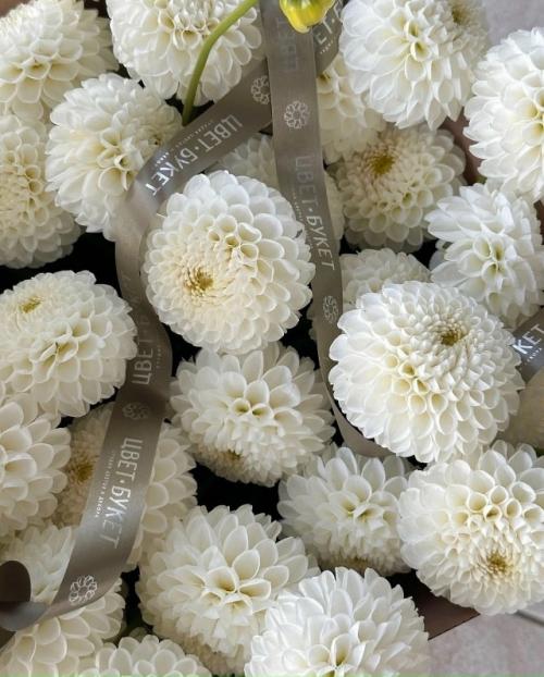 Сияние, которое нельзя повторить. 03