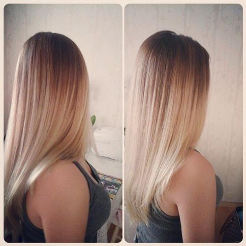 1: 53 лилия. 03