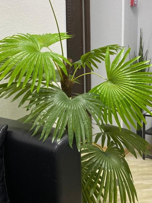 Рабочее место сдается. 01