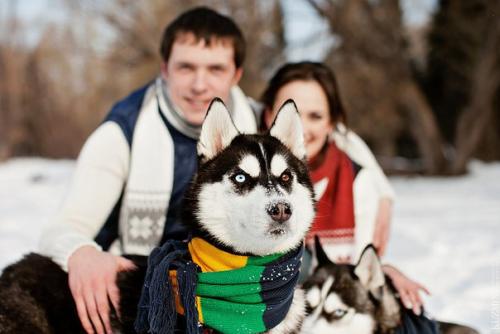 Любимые наши клиенты. 04