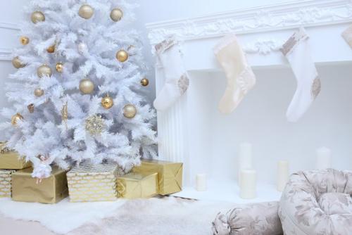 Подарите себе и своим близким незабываемое новогоднее приключение в виде сказочной фотосессии! 06