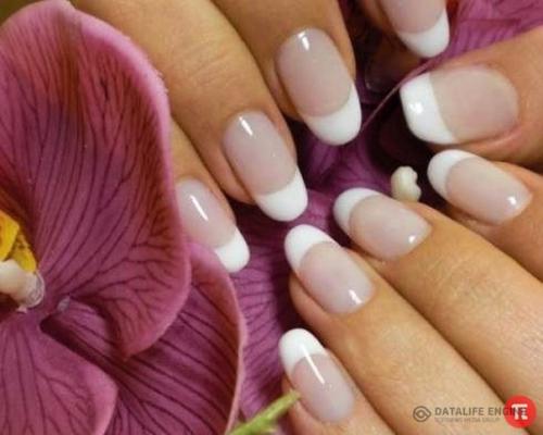 Парикмахерская амелия в 3 барсе. 01