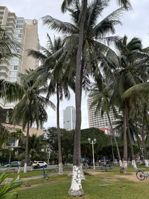 Итальянского фотографа из Милана встретила. 03