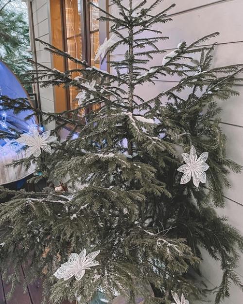 Новогодняя Сказка фотодень. 01