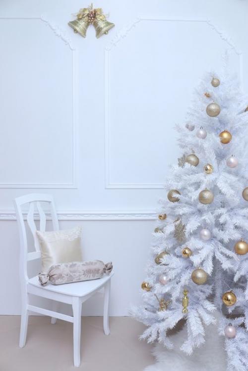 Подарите себе и своим близким незабываемое новогоднее приключение в виде сказочной фотосессии! 04