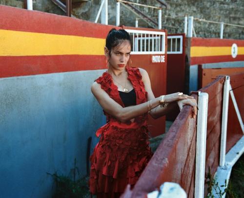 The Sun Also Rises: Аманда Уэллш в фотосессии Елены емчук для Porter Magazine Spring 2016. 06