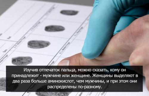В честь праздника 8 марта мы собрали для вас несколько интересных фактов о том, как устроены женщины и почему они такие особенные. 03