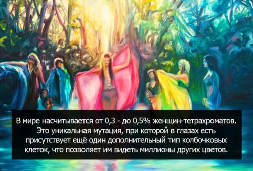 В честь праздника 8 марта мы собрали для вас несколько интересных фактов о том, как устроены женщины и почему они такие особенные. 02