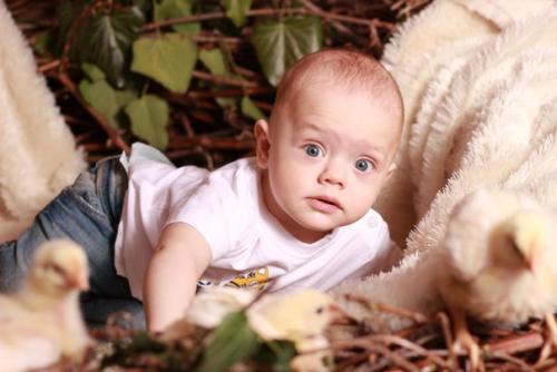 Запись на пасхальный фотопроект продолжается! 02