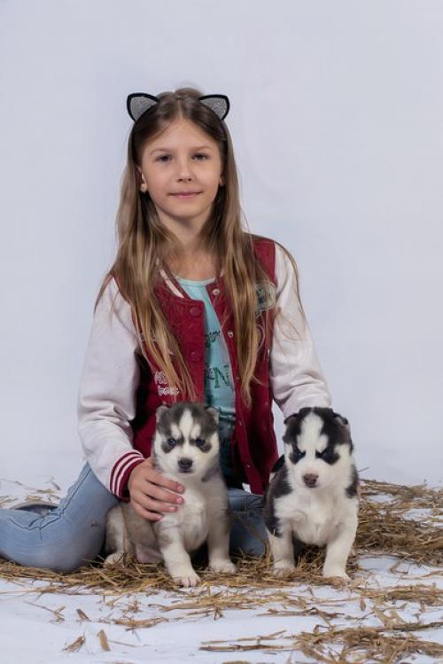 Вот и подросли наши очаровательные модели, чтобы поучаствовать в семейных фотосессиях! 02