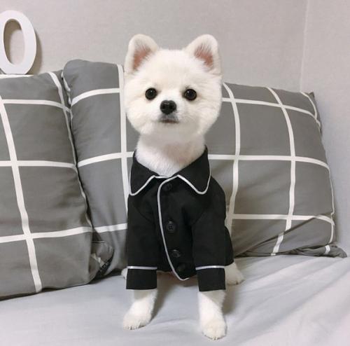 Как правильно фотографироваться на ПАСПОРТ? 03 Как правильно фотографироваться на ПАСПОРТ? 03