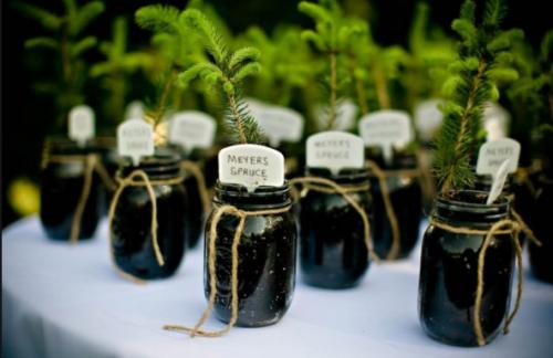 ЭКО - стиль. Свадебные торжества в эко - стиле, или, по-другому, зеленые свадьбы, уже завоевали популярность во всем мире. 09 ЭКО - стиль. Свадебные торжества в эко - стиле, или, по-другому, зеленые свадьбы, уже завоевали популярность во всем мире. 09