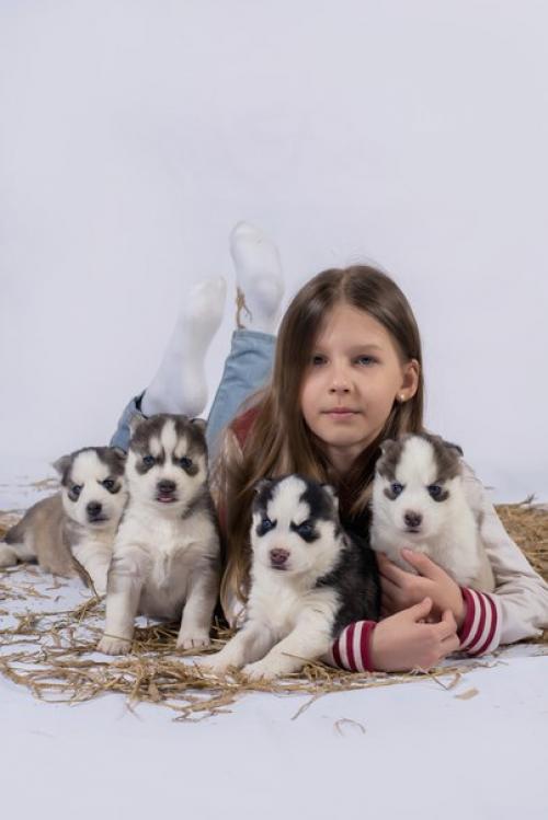 Вот и подросли наши очаровательные модели, чтобы поучаствовать в семейных фотосессиях! 05