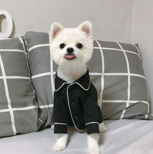 Как правильно фотографироваться на ПАСПОРТ? 01 Как правильно фотографироваться на ПАСПОРТ? 01