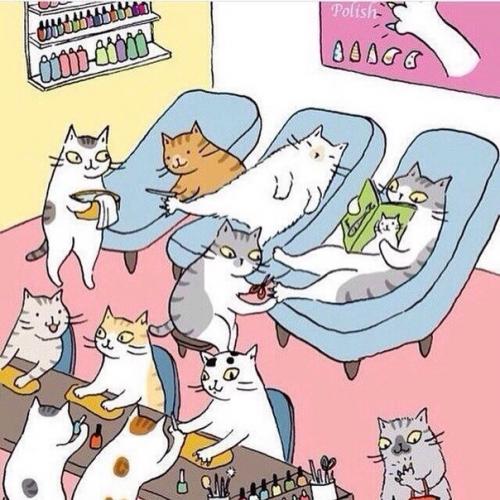 Есть в жизни моменты, когда нужно выглядеть не просто хорошо, а восхитительно? 01