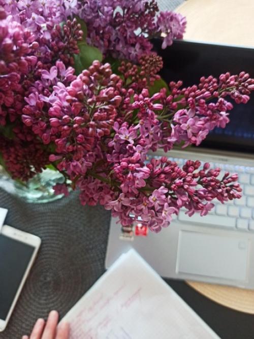 Таким образом, если меня нет в ленте, значит, я сильно занята. 02