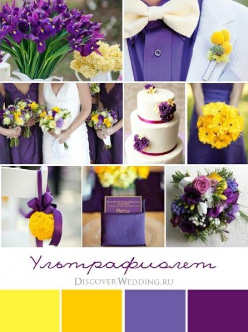 Свадьба цвета солнца. 06 Свадьба цвета солнца. 06