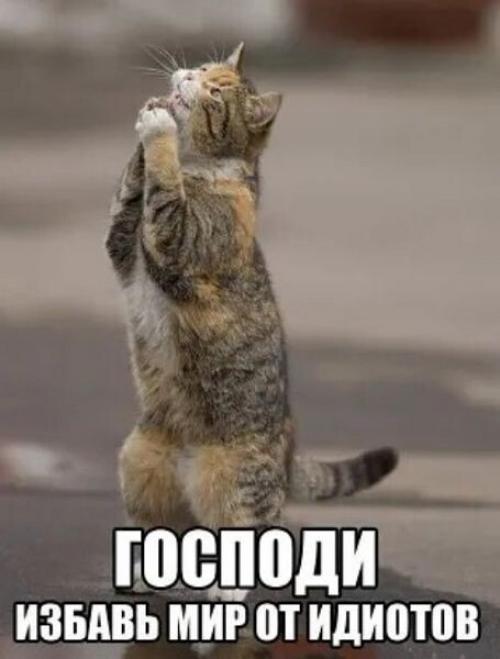 Ксения собчак покорила поклонников в Каннах новым образом. 04 Ксения собчак покорила поклонников в Каннах новым образом. 04