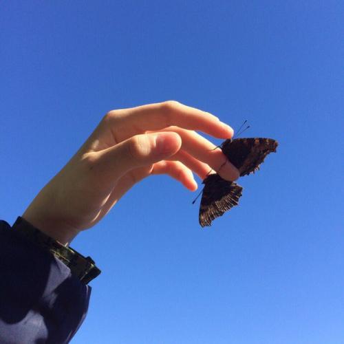 Чем заняться на даче летом? 01 Чем заняться на даче летом? 01