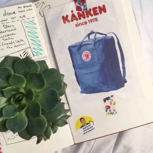 Содержимое сумки девушки что должно лежать в СУМКЕ? 03 Содержимое сумки девушки что должно лежать в СУМКЕ? 03