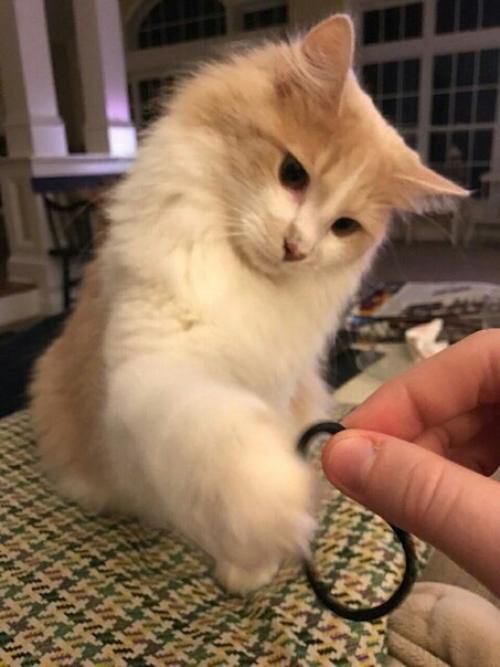 Как найти парня? 01