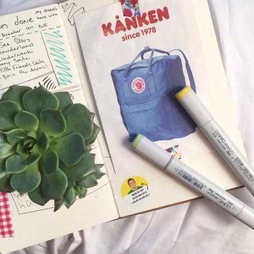 Содержимое сумки девушки что должно лежать в СУМКЕ? 01 Содержимое сумки девушки что должно лежать в СУМКЕ? 01