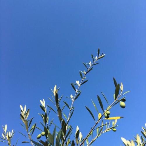 Чем заняться на даче летом? 03 Чем заняться на даче летом? 03