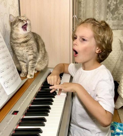 Изоизоляция. Во всем мире сейчас популярен антихандрический флешмоб изоизоляция. 02