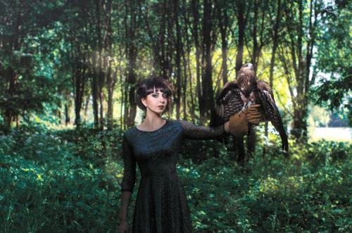 С латыни название коршунв Milvus Migrans переводится, как Ненасытный Бродяга. 01