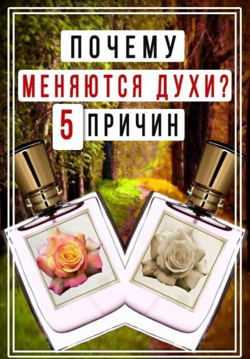 Меня и правда эта тема очень зацепила, весь день размышляла, решила написать. 01