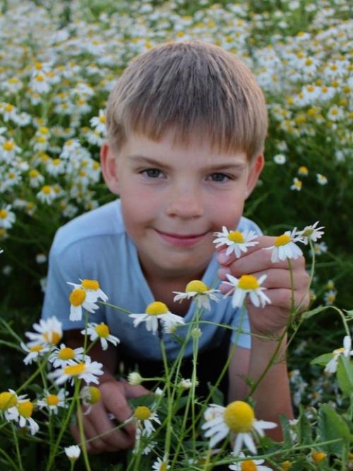 Наконец - то и у меня есть фотки в ромашках. 04