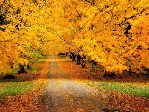 Милые девушки?  Приближается самая прекрасная, самая яркая, золотая пора - осень? 01