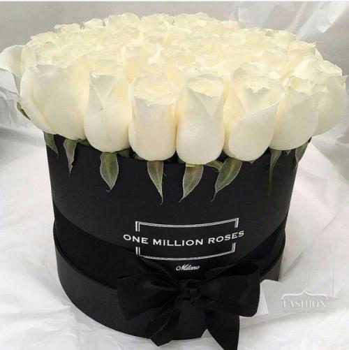 Мои королевы? Позаботьтесь о своей красоте? 02 Мои королевы? Позаботьтесь о своей красоте? 02