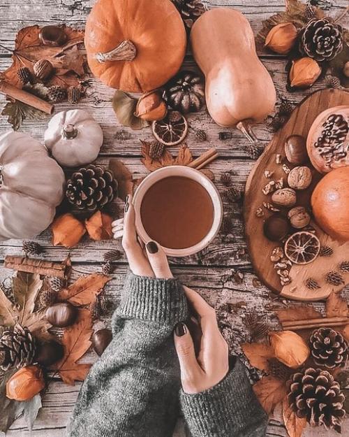 Осенние слабости.  Выходишь на улицу осенью, осматриваешься и задумываешься: кто же выдумал эту осеннюю серость? 01