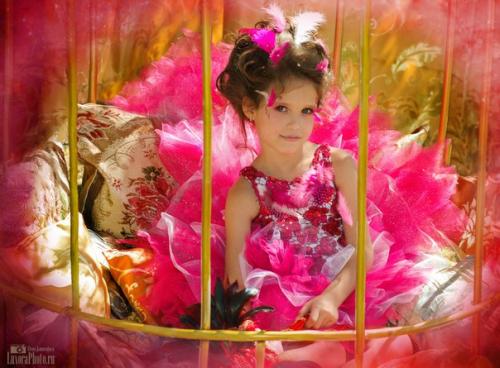 Фотопроект Райские Птички. 02