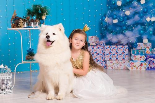 Внимание открыта запись! 04