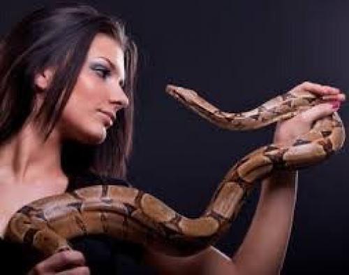 Идет набор участников в фотопроект Холодная Кровь с участием чешуйчатого питомца? 03