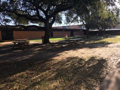 Вчера должны были делать фотографии для хора, которые потом будут висеть на стене в классе, уж не знаю сколько, но года 3-4 точно. 02 Вчера должны были делать фотографии для хора, которые потом будут висеть на стене в классе, уж не знаю сколько, но года 3-4 точно. 02