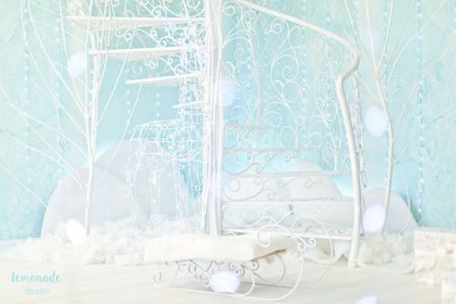 Новогодняя фотосессия?  _ Осталось по одному месту на 26 и 30 ноября и 3 декабря? 02