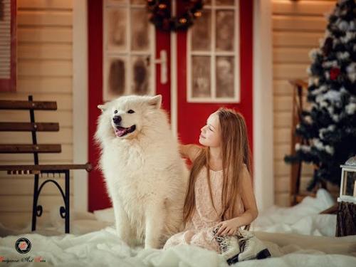 Фотопроект Новогодняя Сказка. 05 Фотопроект Новогодняя Сказка. 05