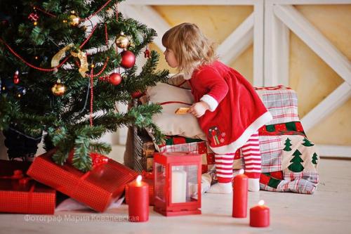 Мы представляем вам фотопроект новый год? 03