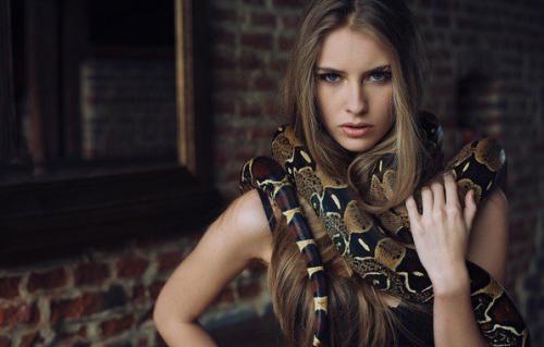 Идет набор участников в фотопроект Холодная Кровь с участием чешуйчатого питомца? 01